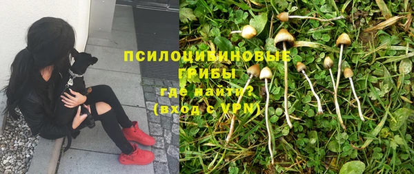 бутик Аркадак