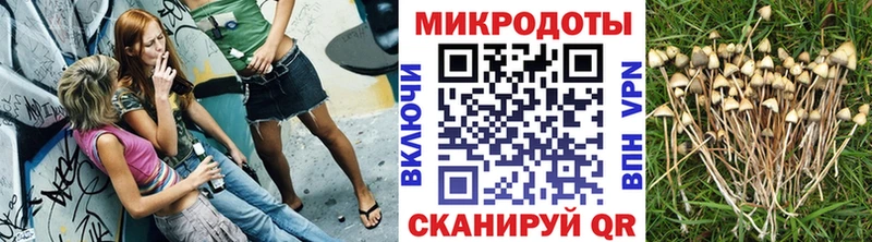 Псилоцибиновые грибы MAGIC MUSHROOMS купить сайты сайты даркнета наркотические препараты Сухой Лог